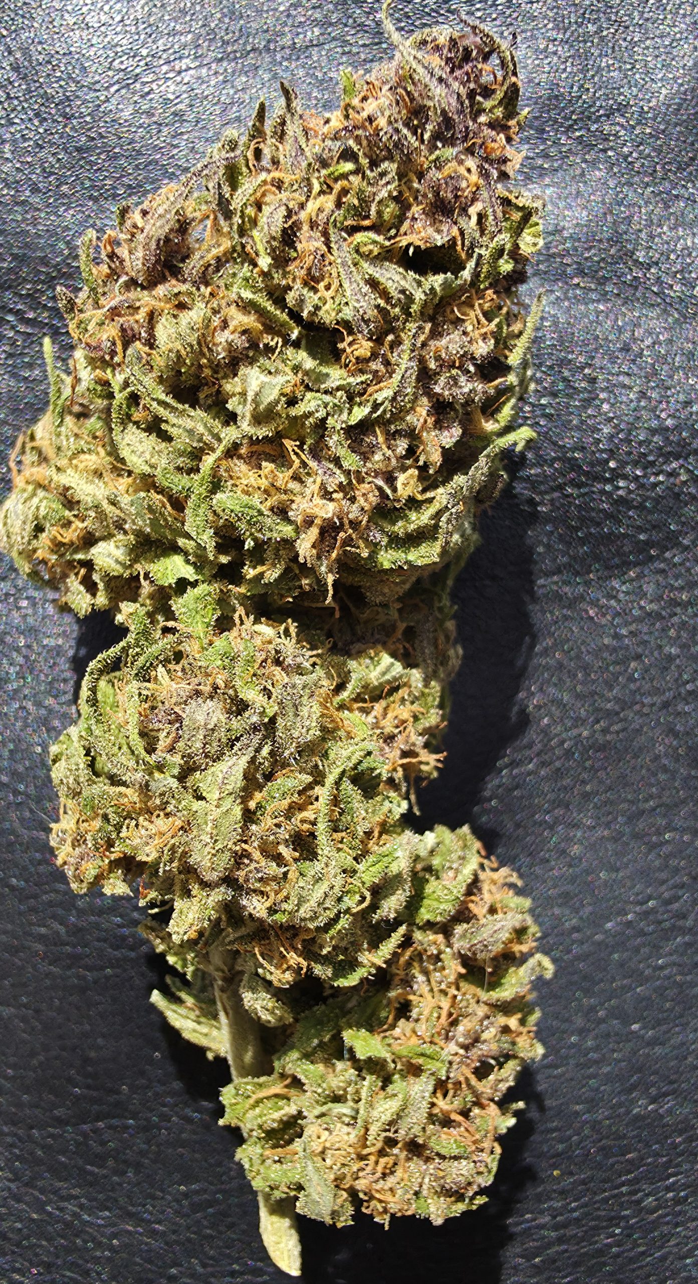 Saphir kush