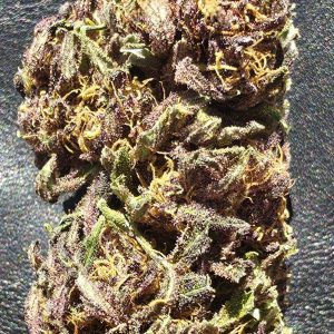 Legendary Platinium OG Diesel